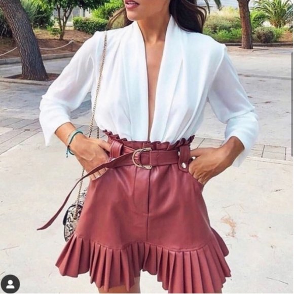 Zara Blogger Favorite Faux Leather Pleated Mini Skirt in Whiskey - Picture 15 of 16